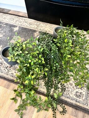 Artificial Vine Hanging Greenery | Set of 3 | Faux Vine Plant